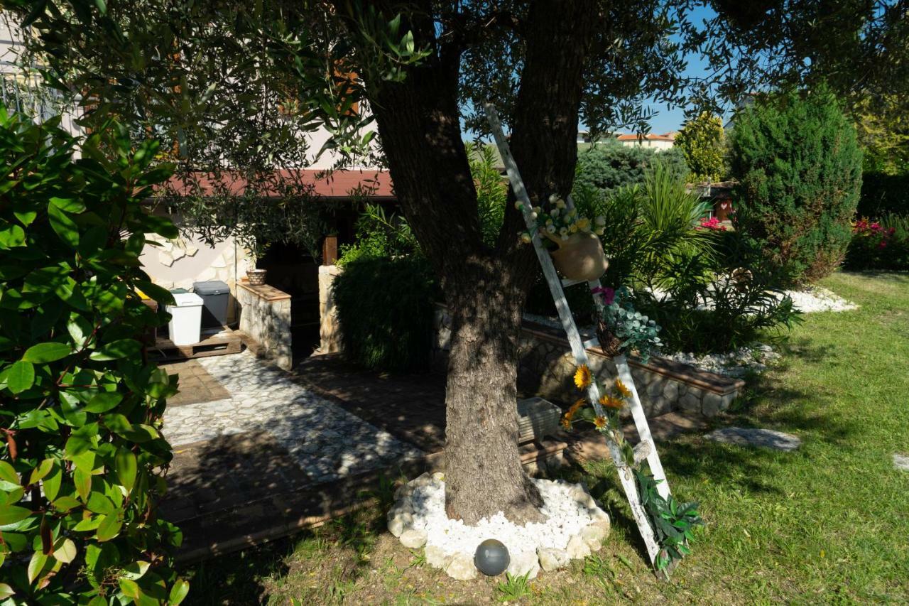 Bed & Breakfast Mafi Orsogna Exterior foto