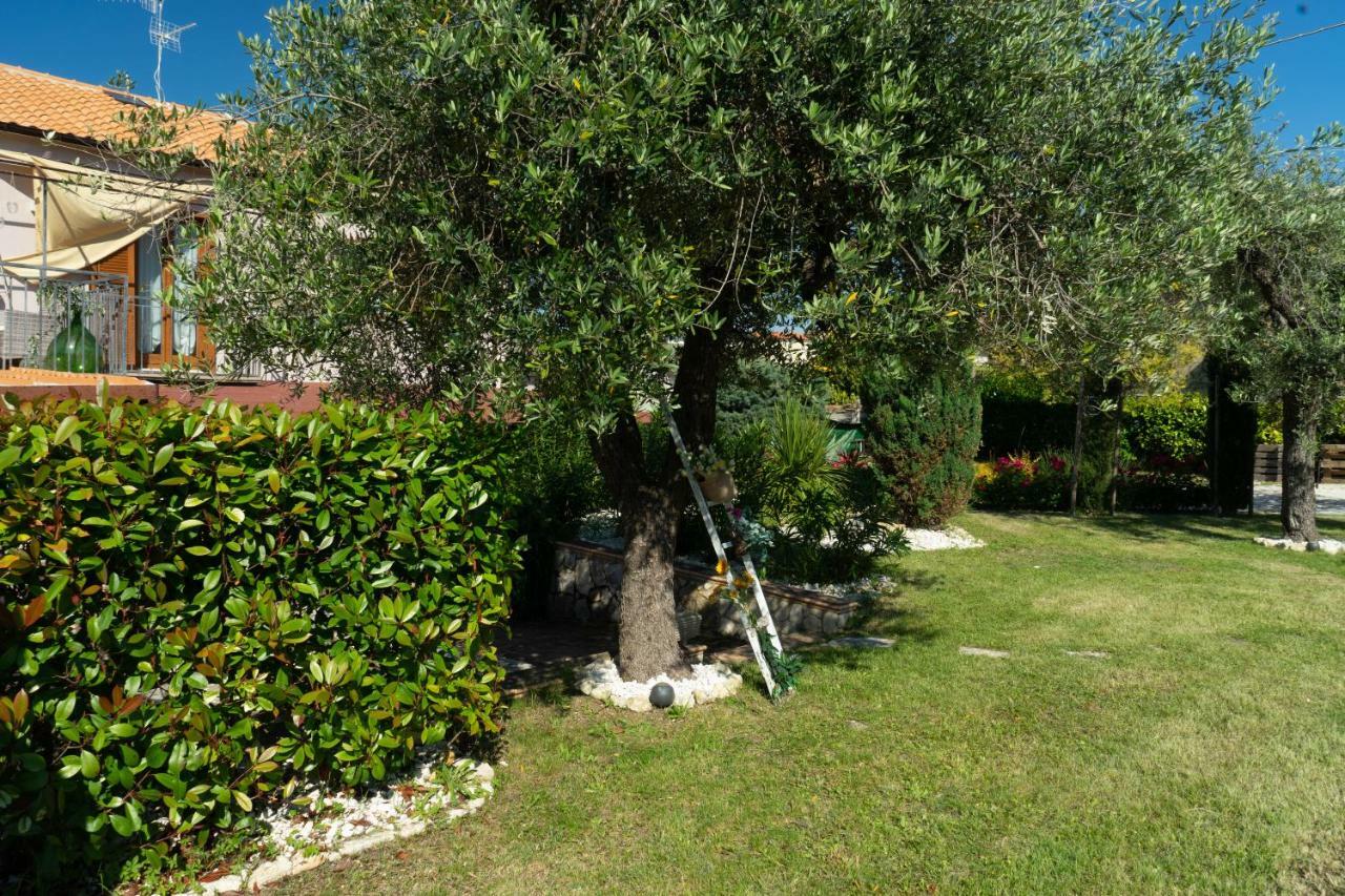 Bed & Breakfast Mafi Orsogna Exterior foto